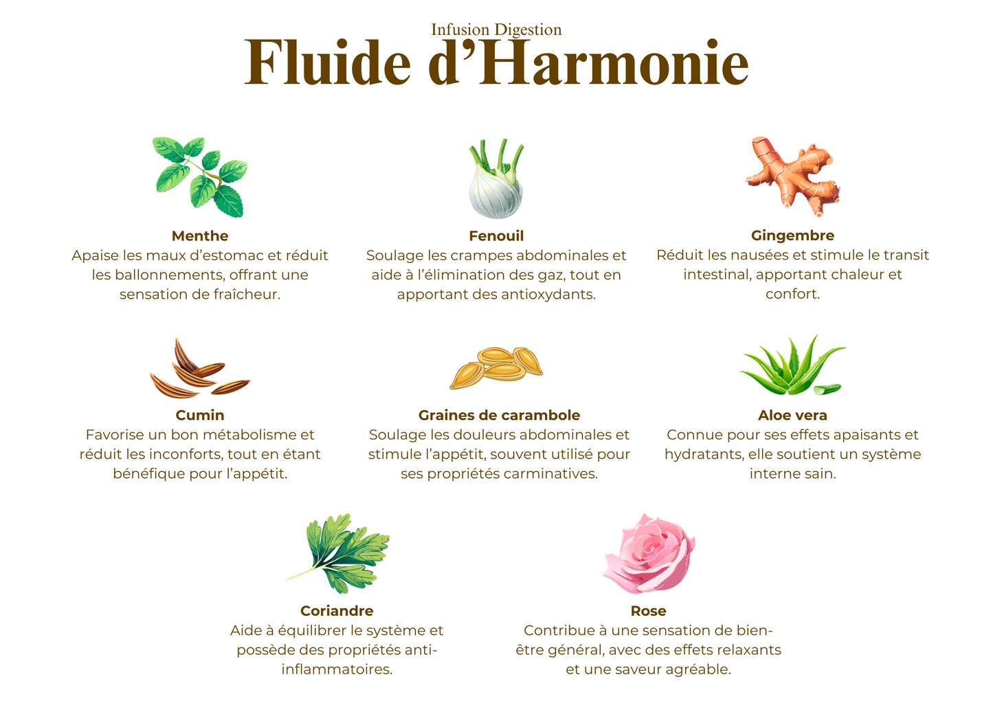 Fluide d’Harmonie - Infusion Digestion
