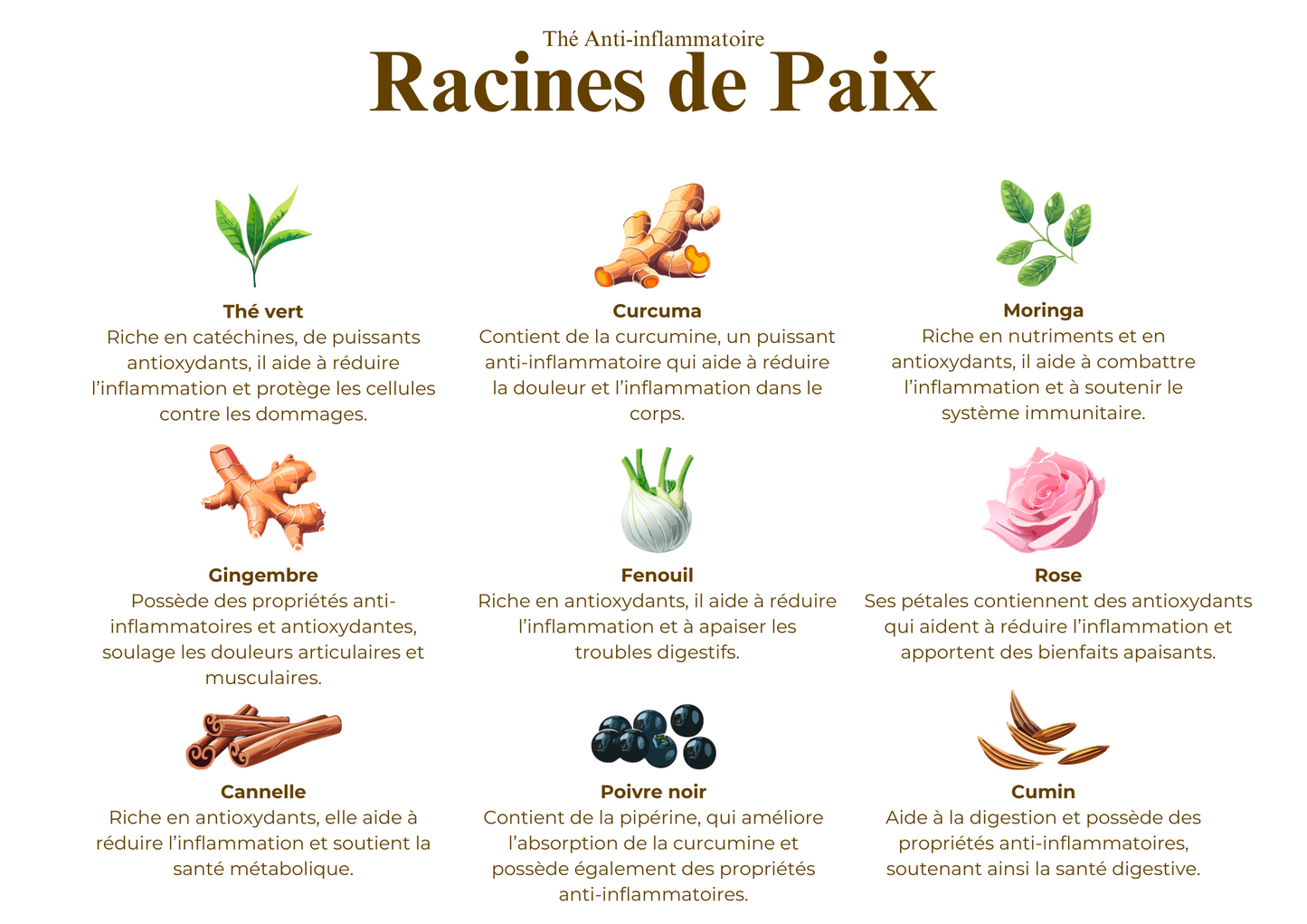 Racines de Paix - Thé Anti-inflammatoire