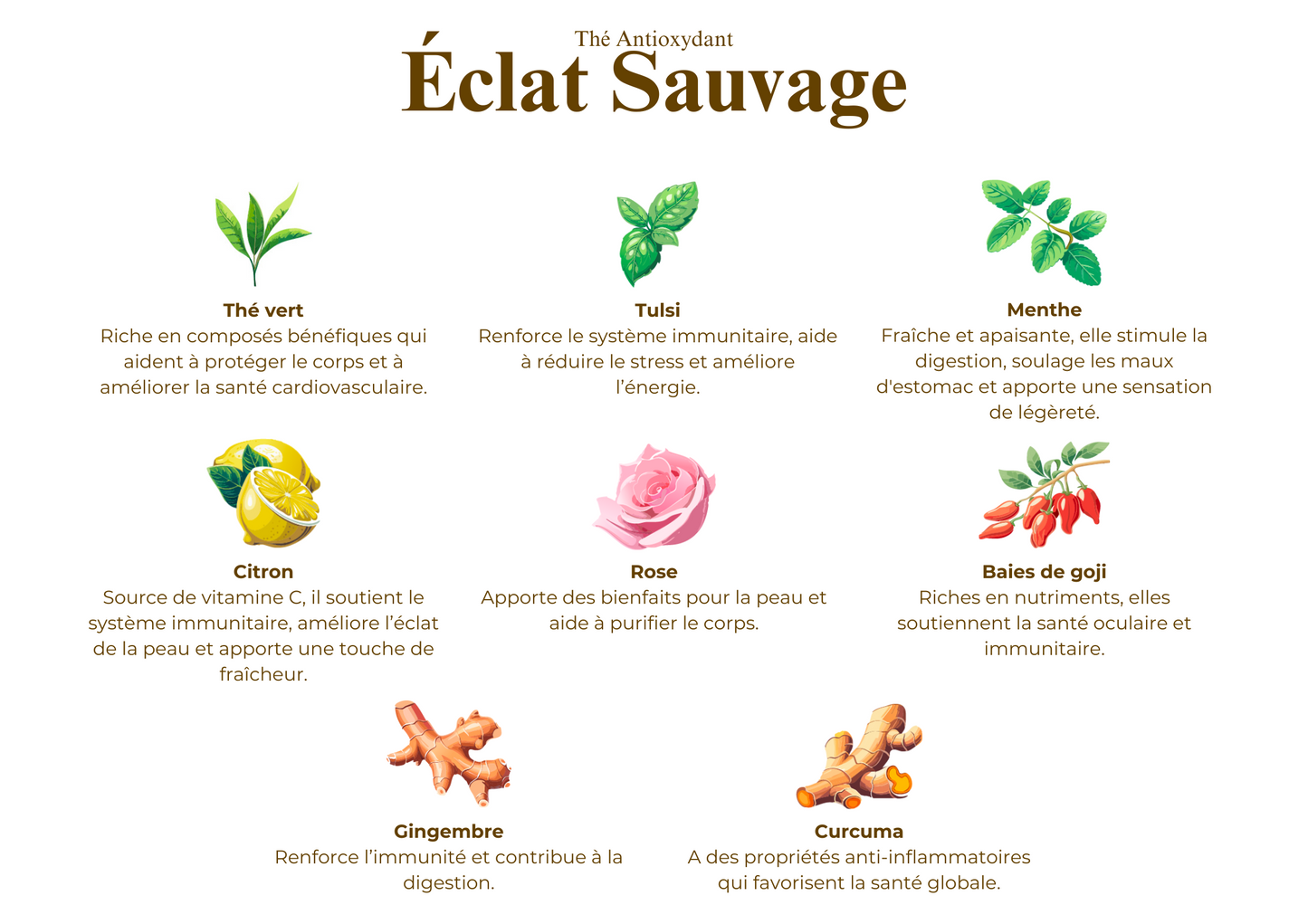 Éclat Sauvage - Thé Antioxydant