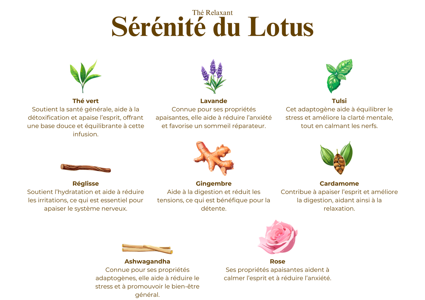 Sérénité du Lotus - Thé Relaxant