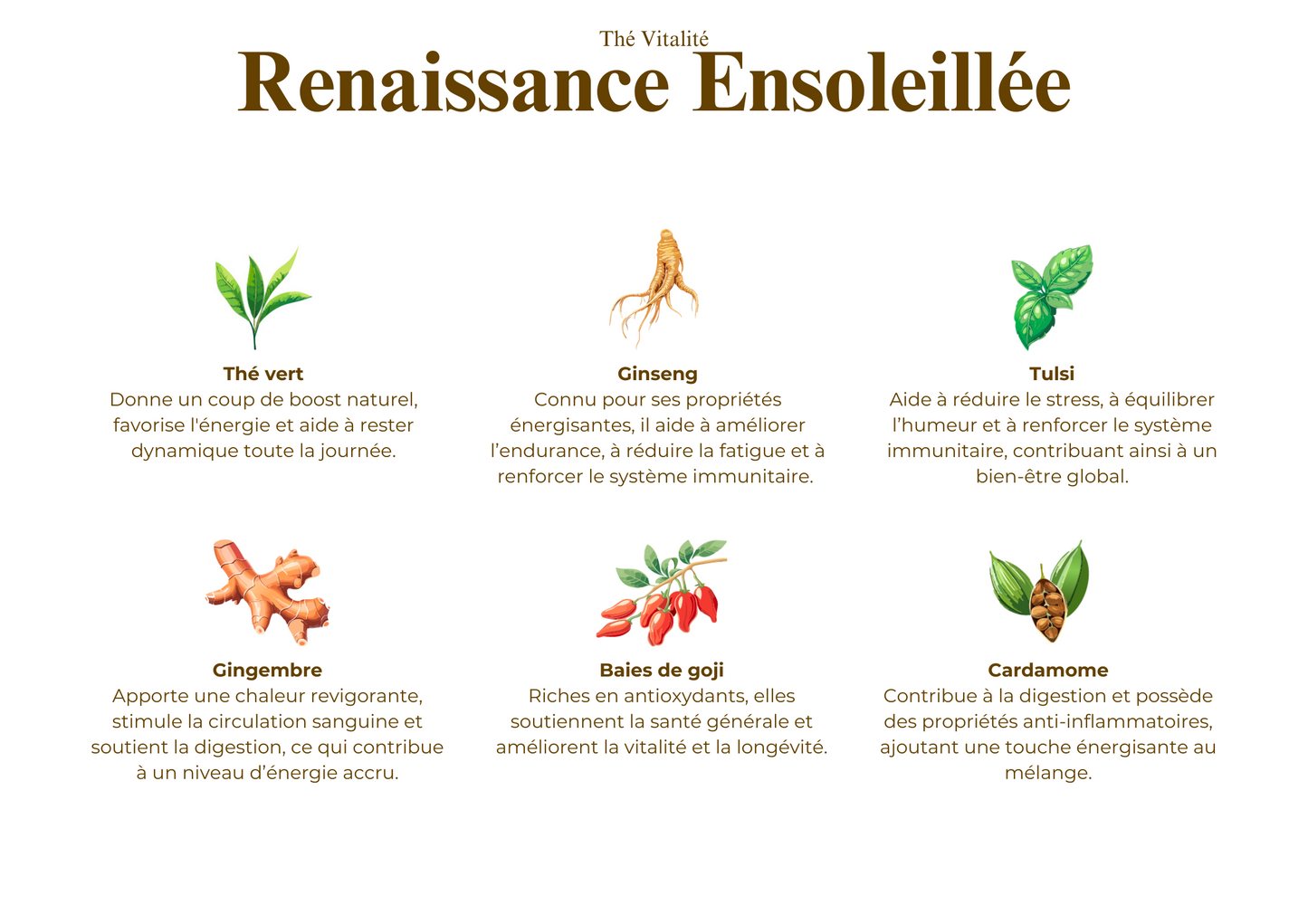 Renaissance Ensoleillée - Thé Vitalité