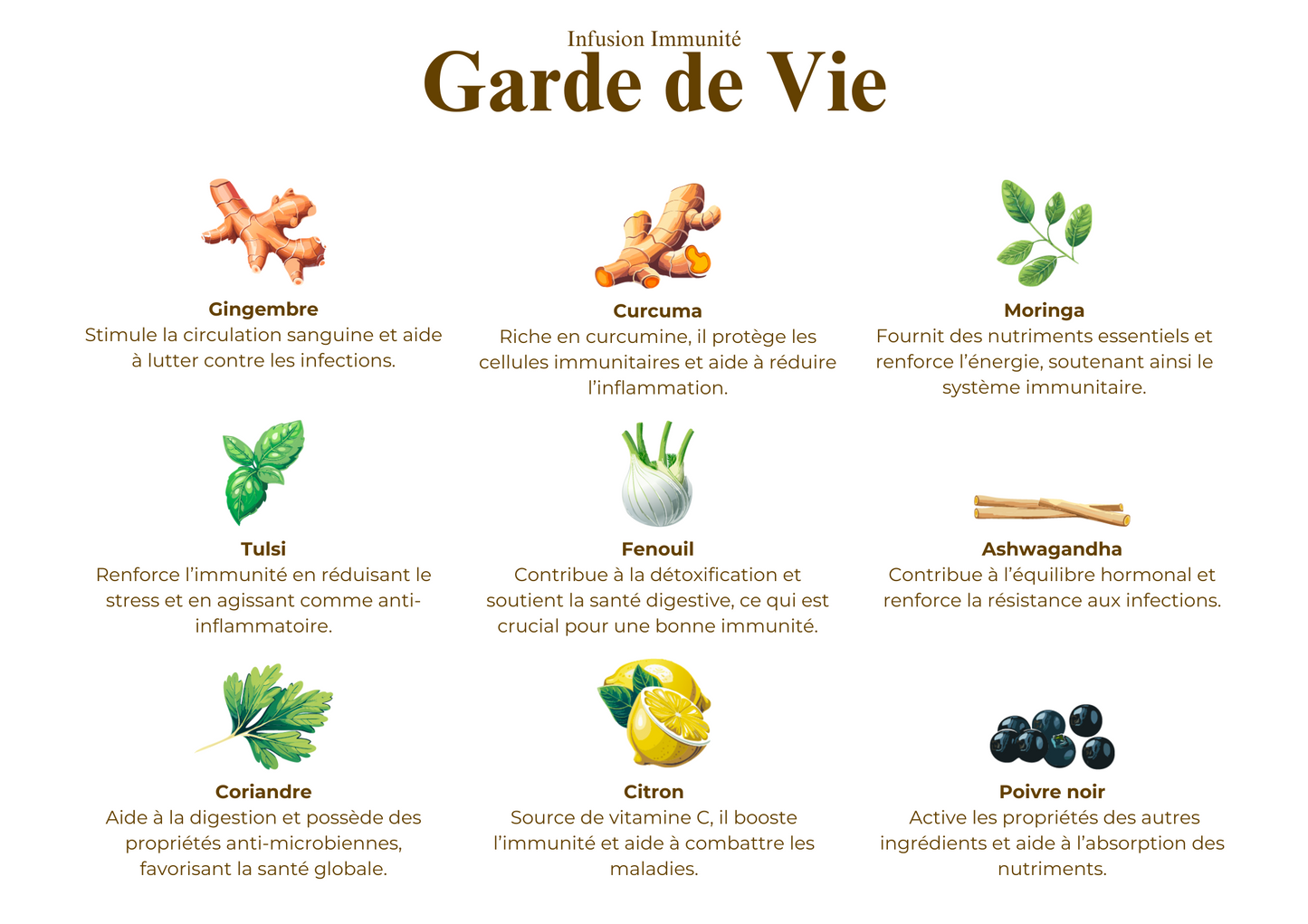 Garde de Vie - Infusion Immunité